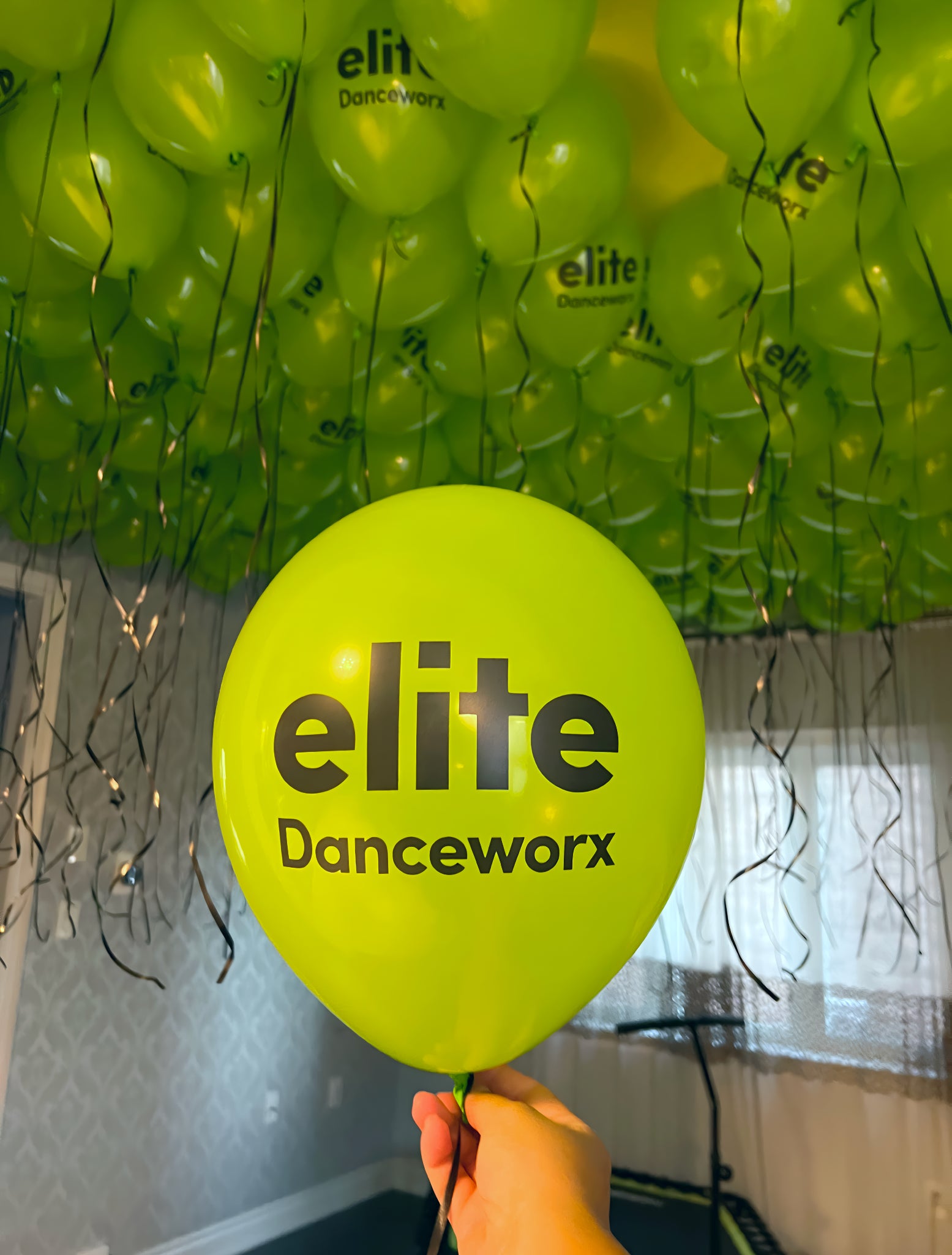 Video of custom printed neon green balloons with black logo for a corporate event, helium inflated and floating with ribbons