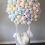 HOT AIR BALLOON CLASS