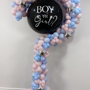 QUESTION MARK + GENDER REVEAL $300