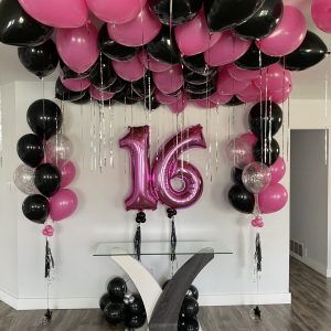 LOOSE BALLOONS PACKAGE $450
